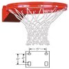 FT187D Flex Basketball Goal